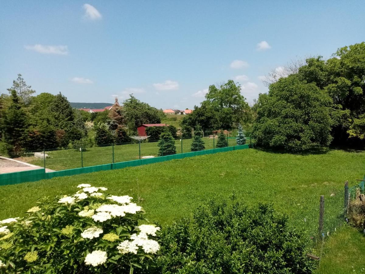 Appartamento Thefi Vendégház Zánka Esterno foto