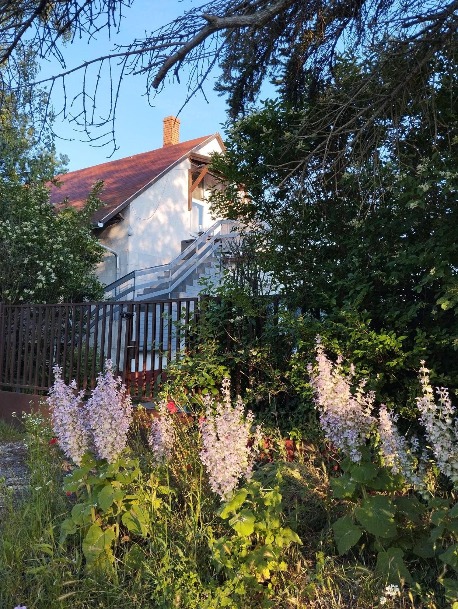 Appartamento Thefi Vendégház Zánka Esterno foto